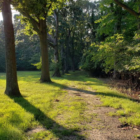 Walking F.Bliss Price Arboretum and Wildlife Sanctuary in 2019 - 05/19/2020
