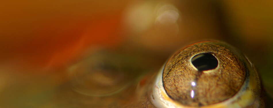 Photos of the week! April 14