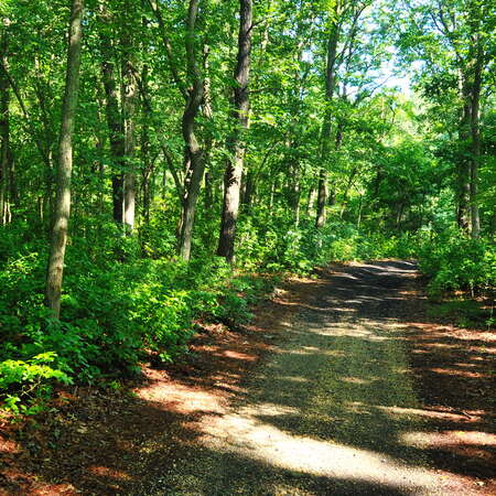 Howell Township Recreation Department