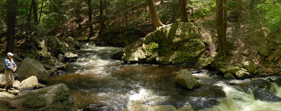 New Jersey's Free Fishing Days - June 4 and October 22, 2022