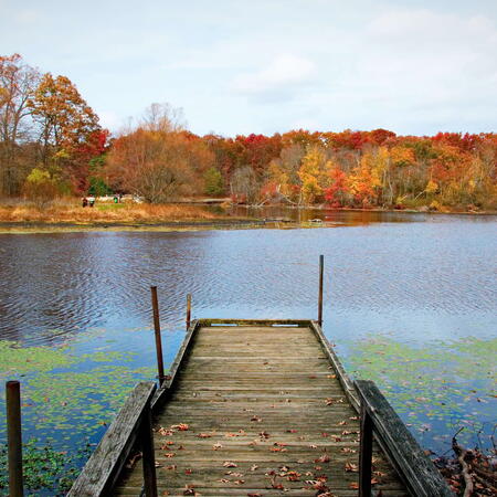 Turkey Swamp Park