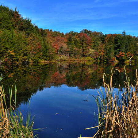 Echo Lake/Alfred C. Sauer Park