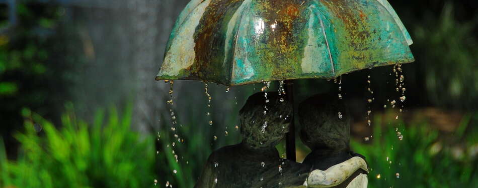 30+ Gardens and Arboretums You Should Visit Spring, 2024!