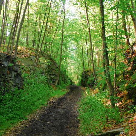 Sussex Branch Trail