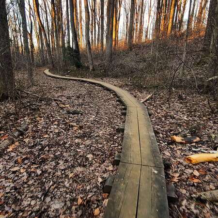 Gallery of photos from our hike at Crystal Lake Park - 03/14/2021