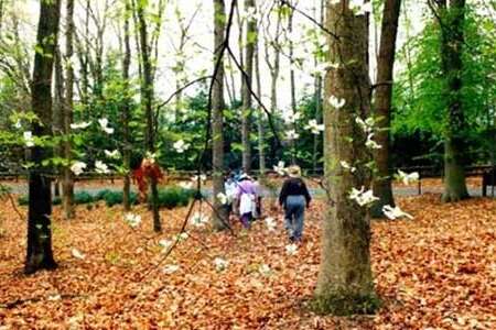 Barton Arboretum and Nature Preserve