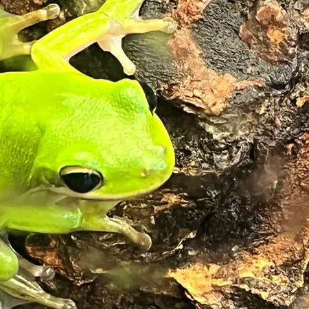 Flat Rock Brook Nature Center