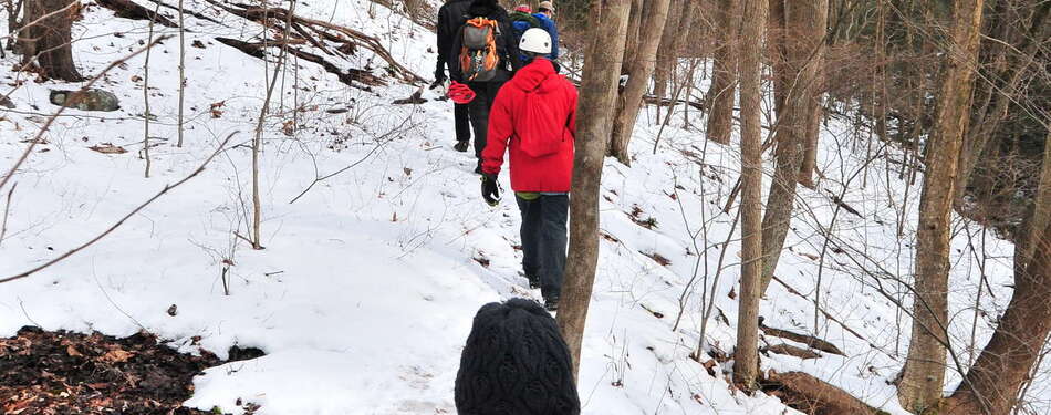  First Day Hikes in the NJ State Parks - 1/1/2020