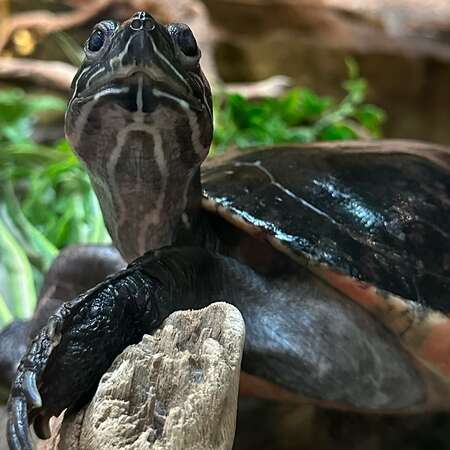 Trailside Nature & Science Center